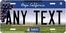 Personalized Baja California 2010 Mexico License Plate Novelty Auto ATV Bike etc picture