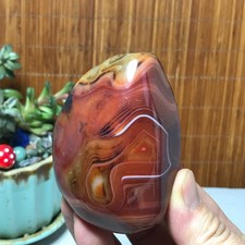 Natural Red Banded Agate Palm Stone Polish Crystal Healing Collection 216g A7768 picture