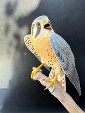 Wood carving of Kestrel on a branch picture