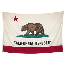 XL Genuine Vintage Cotton California State Bear Flag Cloth American Textile Art picture
