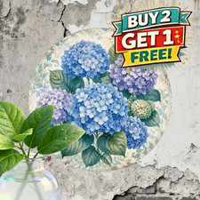hydrangea flower blue green round picture
