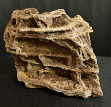 4 lb 9 oz Brilliant Petrified Wood - Termite Galleries - Druzy - UV Reactive picture