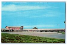 c1960's Oasis Motel And Swimming Pool Harrison Arkansas AR Vintage Postcard picture