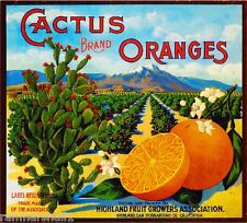Highland Cactus Orange Citrus Fruit Crate Label Art Print picture