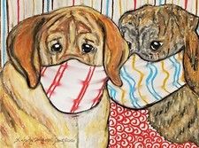 Spanish Mastiff Collectible Dog Art Print 8 x 10 Artist Signed KSams Quarantine picture