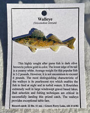 NEW WALLEYE  FISH HAT PIN LAPEL PINS picture