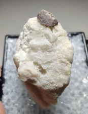 Zircon crystals on matrix, UV. Henderson County, North Carolina. 3.6 cm. picture