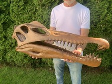 Large 31” Spinosaurus Skull Replica Museum quality  picture