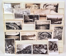Vintage Lot  Of 17 Oregon RPPC Postcards Mt Hood Skiing Roadway Views Sea Lions picture