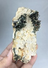 192-gm Rare Aegirine Shiny Crystals with Red Rutiles on Albite - Zagi Mnts, Pk. picture