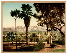 USA, California, Pasadena, Snow and Palms Photochrome, Vintage Photochrome  picture