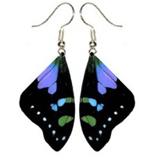 Graphium weiskei forewing purple blue green preserved butterfly wing earrings picture