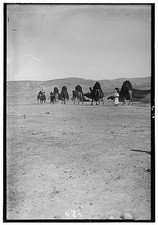 Photo:Bedouin Wedding Procession Camel Caravan Desert 1900s picture