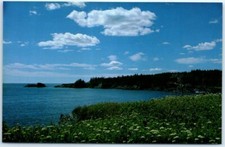 Postcard - Liberty Point, Roosevelt Campobello International Park - Canada picture
