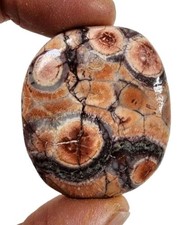 Birds Eye Rhyollite Polished Smooth Stone 21.6 grams picture