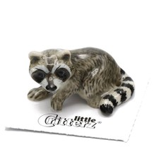 Little Critterz Gray Raccoon 