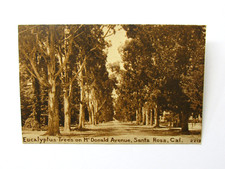 Historic McDonald Avenue Santa Rosa California Postcard 1918 Sonoma County picture