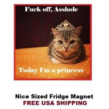 108 - Cute  Princess Cat Fridge Refrigerator Magnet picture