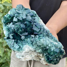 3.76LB Natural Green FLUORITE Quartz Crystal Cluster Mineral Specimen picture