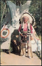 Native American Arthur Langford Wisconsin Dells, WI Chief Blow Snake Full picture