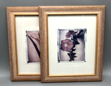 Vtg Polaroid Emulsion Transfer Floral Art Frames (Set of 2) 10x12