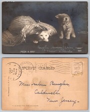 PEEK-A-BOO Two Kittens Cats Straw Hat Rotograph Co NY Postcard picture