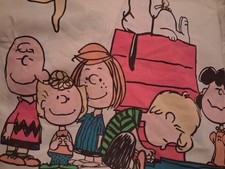 Vintage Peanuts Twin Bed flat & fitted Sheet & Pillow Case -Charlie Brown picture