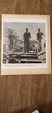 Three Vintage Black And White Copies Of Photographs Depicting Coal Haulage picture