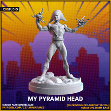 Mr Pyramid Head | Crisis Protocol Proxy | 2024.03 picture