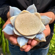 239G Natural Agate Geode Carved Lotus Flower, Hand Carved Healing Crystal Home picture