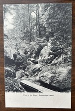STOCKBRIDGE MA MASS~View in Icy Ice Glen~Single Plank Bridge~Unused UDB Postcard picture
