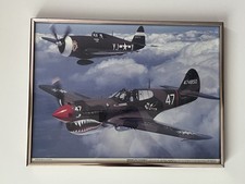 Military Aircraft Warhawk & Thunderbolt By Budd Davisson Framed Print 16”x12” picture