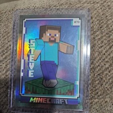 2024 PANINI MINECRAFT IRON STEVE CARD LIMITED EDITION 051/475 picture