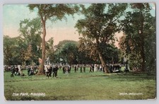 Vintage Elm Park Winnipeg Canada Crowd Gathering 1909 Postcard picture