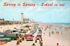 1978 Florida Daytona Beach Spring is Sprung - School is Out Vintage Postcard picture
