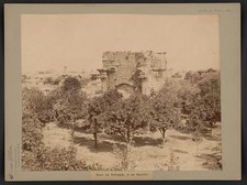 Photo:Latakia Syria 1880s Roman Arch Archaeological Site Trees picture
