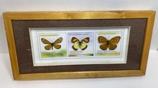 Framed Butterfly Display KSK Wood Frame 3 Butterflies Nature Wall Art Decor Vtge picture