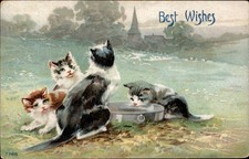 New Year's Kittens Around Wash Tub Animals c1900s-10s Vintage Postcard picture