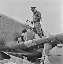 American fighter pilot Lieutenant John T Godfrey of United States - Old Photo picture