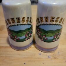 Tennessee Salt And Pepper Shakers Vintage  picture