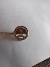 vintage Masonic BFCL past mother adviser 10 k gold pin picture