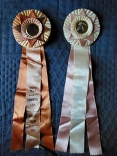 Channel City Vintage Horse Show Ribbons Awards SANTA BARBARA 1977 RARE picture