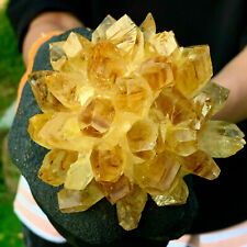 1pc Natural citrine cluster quartz crystal speciman healing decor gift 500-600g picture