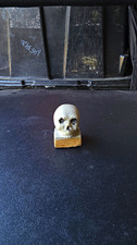 Vintage Bisque Minature Skull On A Book picture