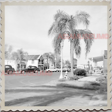 50s FROSTPROOF FLORIDA STREET SCENE CAR PARKED TREE VINTAGE AMERICA Photo 12439 picture