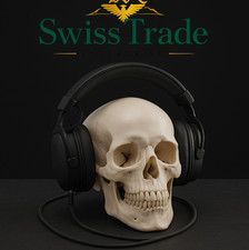 Human Skull Replica - 1:1 Medical Scan Anatomical-Study Gem picture