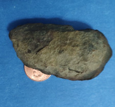 Prehistoric Feces Dinosaur Dung Poop crap turd Virginia Coastal Plain 70 gram picture