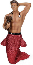 December Diamonds Dr Pet a Vet Veterinarian Merman Resin Ornament Red Tail picture