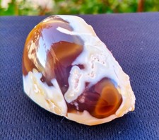 Mirror Polished Honey Chalcedony Eye in Blue Chalcedony Nodule with Milk Opal picture