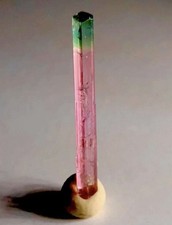 Rare Raw Cruzeiro Mine of Minas Gerais Brazil Green Cap Pink Tourmaline Crystal picture